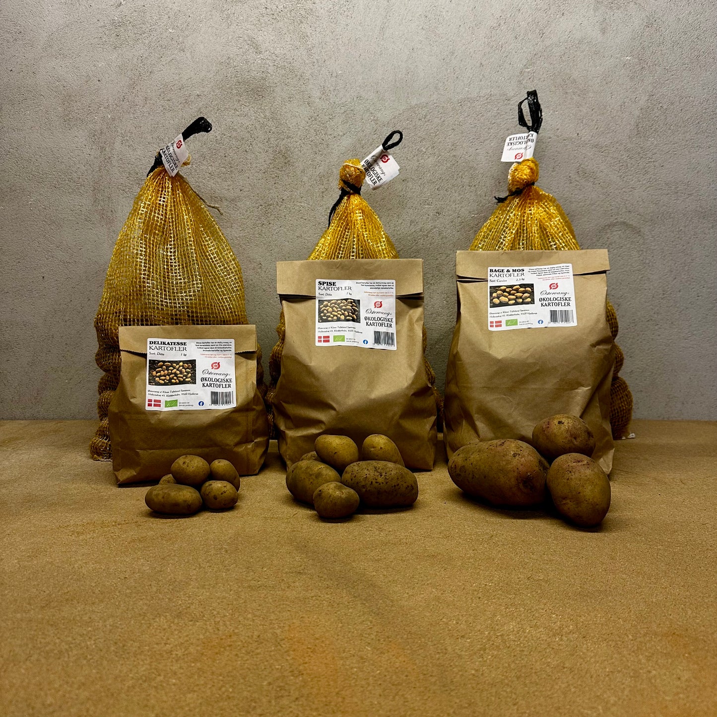 Økologiske kartofler fra Østervang