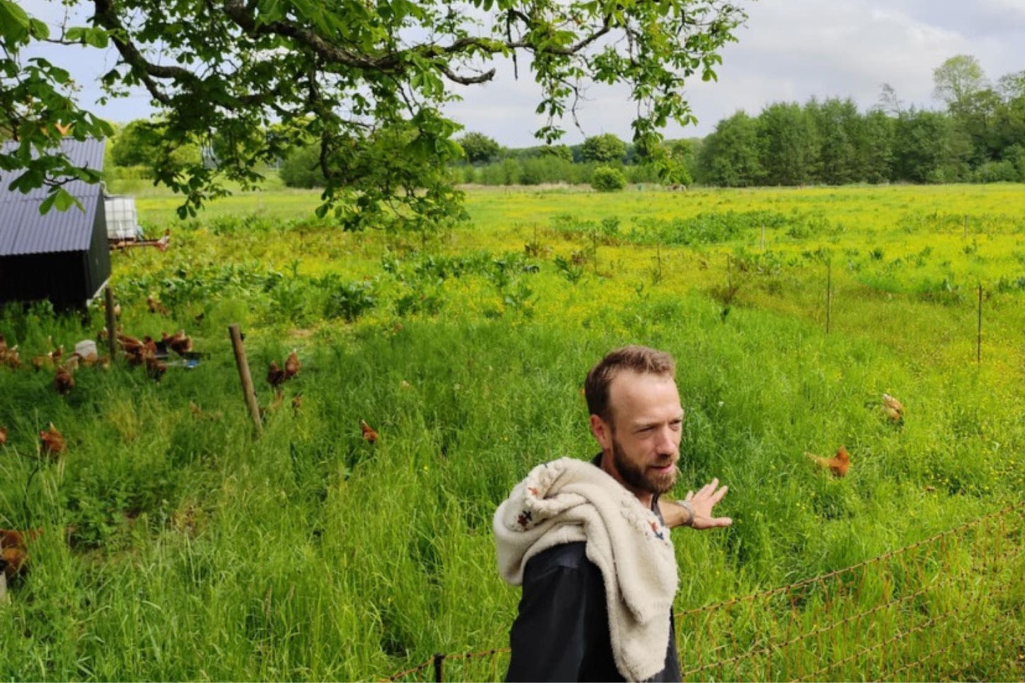 Rundvisning på landbruget